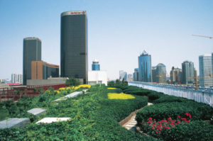 Considered a "semi-intensive" system of green roof, the China World Tower complex in Hong Kong permits growth of vegetation and perennial gardens, reducing stormwater runoff and AC load. Photo: ZinCo.