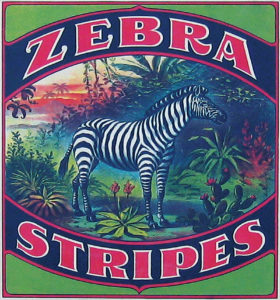 Zebra Stripes®, launched in 1908, marked the beginning of Glen Raven Cotton Mills Company’s first dyed awning. It was the first branded product sold by Glen Raven and the forefather of the company’s Sunbrella® shade fabrics. Photo: Glen Raven Inc.