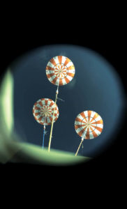 During the return of NASA’s unmanned Orion through Earth’s atmosphere in December 2014 a video was recorded through windows in Orion’s crew module. As Orion emerged safely on the other side of a blackout period, the camera continued to record the deployment of the series of parachutes that slowed it to a safe 20 mph for landing and the final splash as Orion touched down on Earth. Photo: NASA