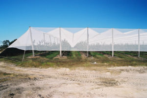 Gale’s recent advancements include the use of diamond lock-stitch with four-yarn crossover in its knitted and netting products. Quad Crossover also promotes plant growth by creating micro-climates and helps save water by reducing evaporation and spray drift. Photo: Gale Pacific Ltd. 
