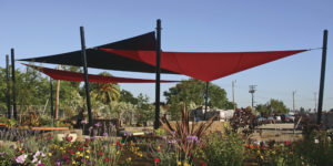 Shade sails make a striking visual statement while reducing exposure to direct sun. They’re increasingly popular over pool and play areas and in public and commercial settings where they complement surrounding architecture. Photo: Goodwin-Cole Co.