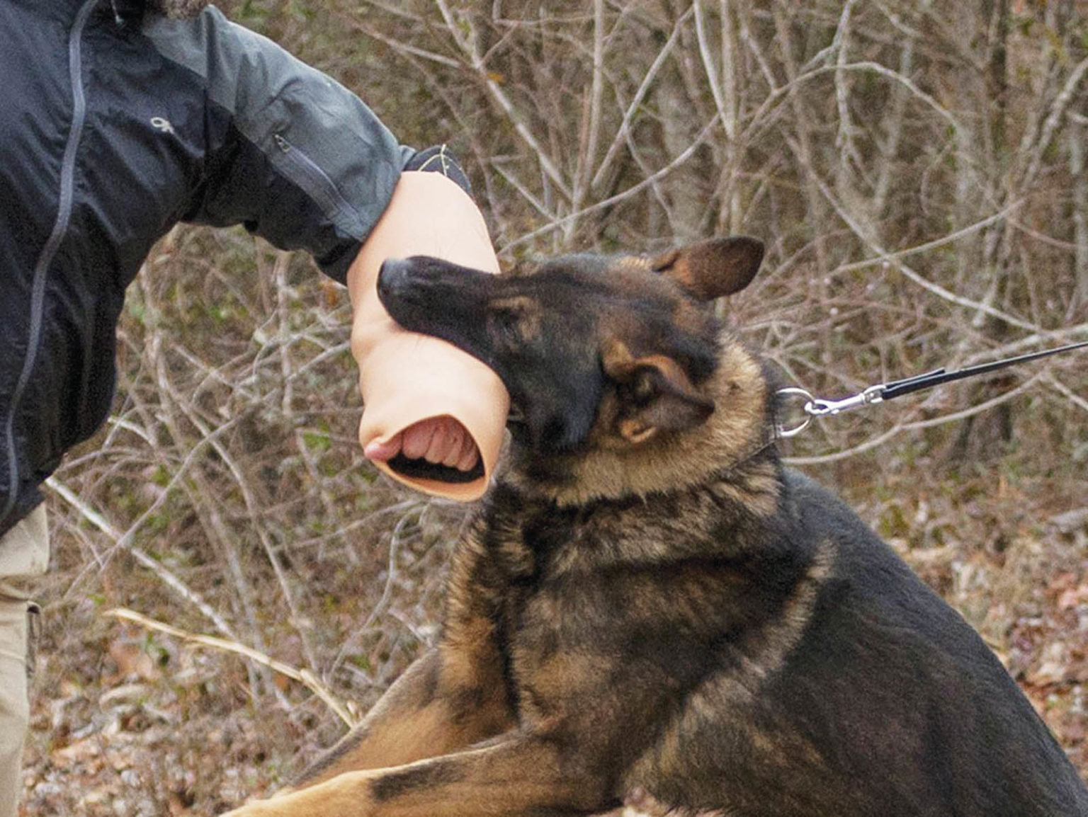 Realistic bite sleeve for K9 training Specialty Fabrics Review