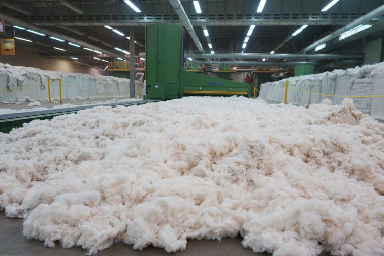 Oritain core denim cotton
