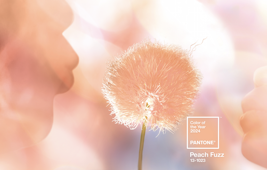 Peach Fuzz: Pantone Color of the Year 2024 – Specialty Fabrics Review