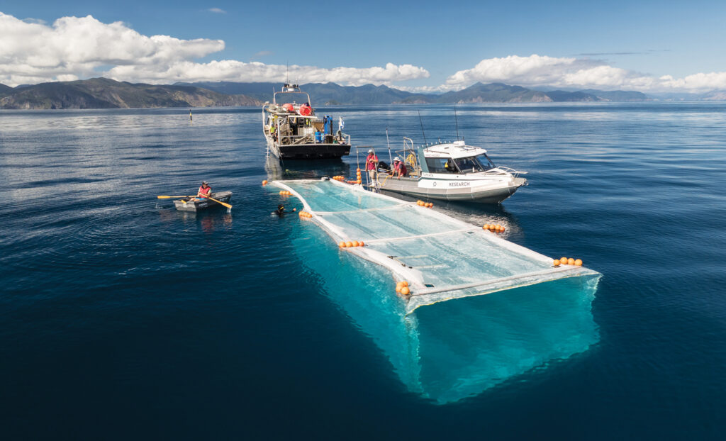 A prototype moored ocean fish farm fabric holding pen, manufactured by TM covers, being installed off the coast of the South Island of New Zealand