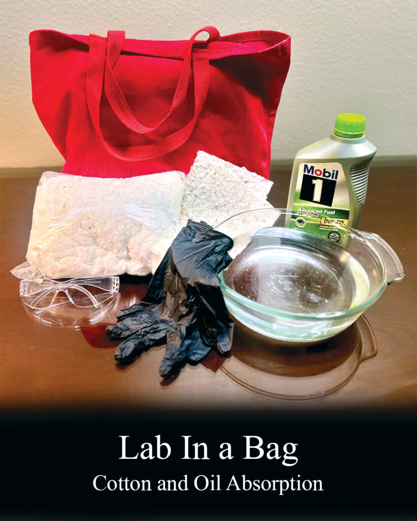 A red tote bag, cotton pads, black gloves, a bowl of liquid, and a bottle of oil absorbent materials arranged on a wooden surface.