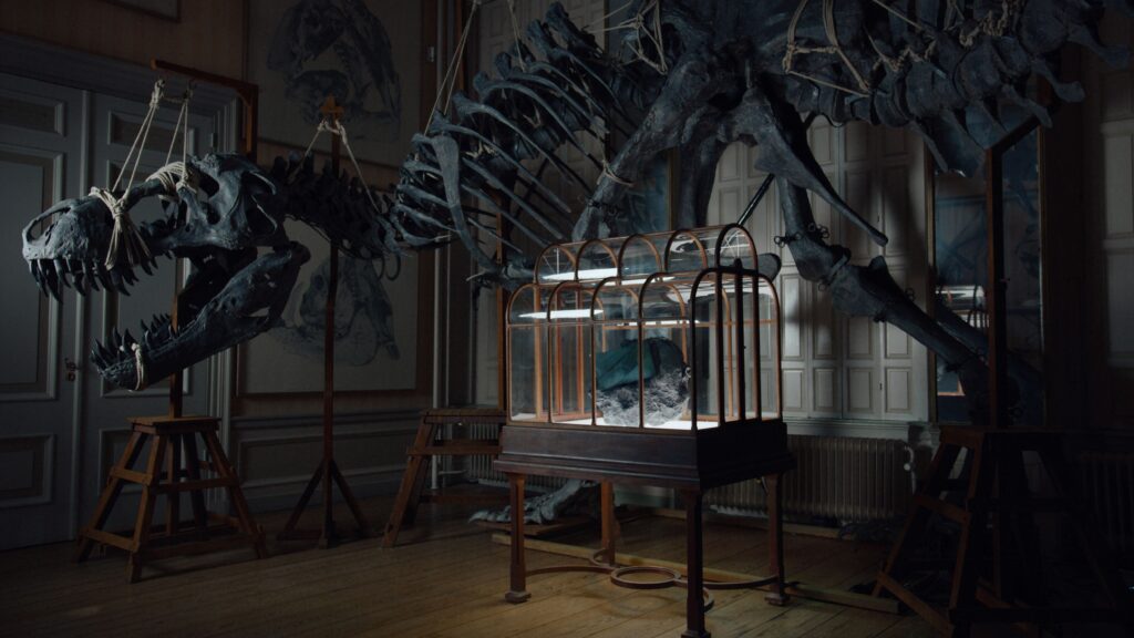 T-Rex bag 1 A T. rex skeleton looms in a dimly lit room, with a glass display case featuring a large, dark object at its center.