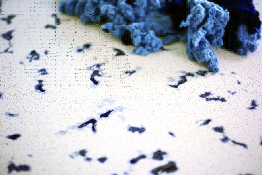 A textured surface with light speckles features dark blue and navy fibers scattered across it, accompanied by a curled blue textile.